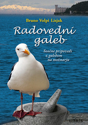 radovedni-galeb